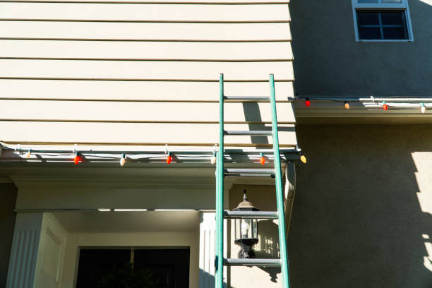 Best Historical Building Siding Restoration  in Caledonia, MI