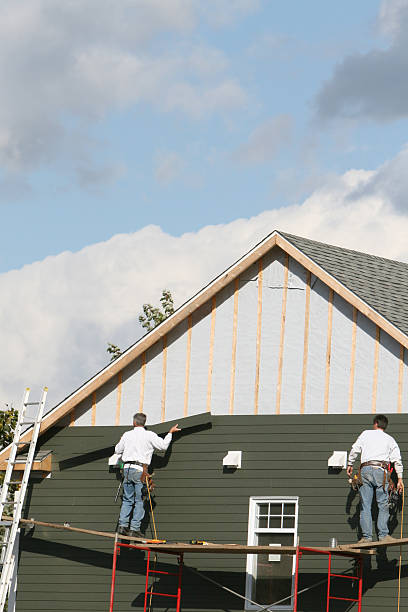 Best Custom Siding Design  in Caledonia, MI